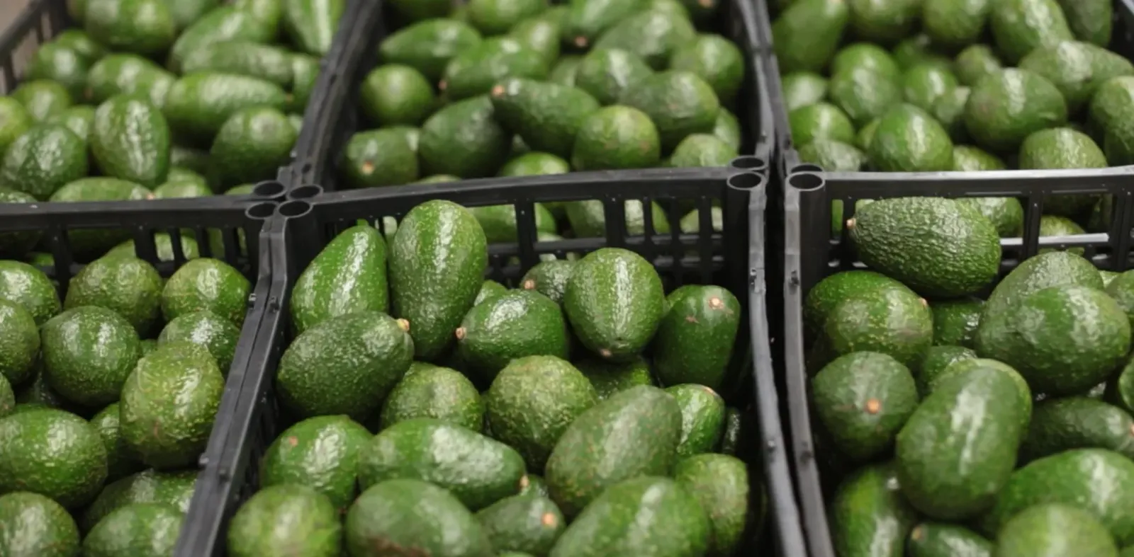 Manufacturing Experts & IIoT Technology Leaders Join Forces to Deliver End-to-End Traceability for the Fresh Food Sector