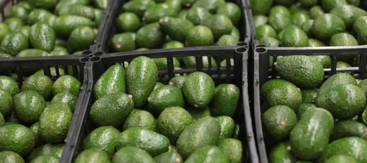 Manufacturing Experts & IIoT Technology Leaders Join Forces to Deliver End-to-End Traceability for the Fresh Food Sector